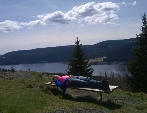 Fastenwandern im Schwarzwald