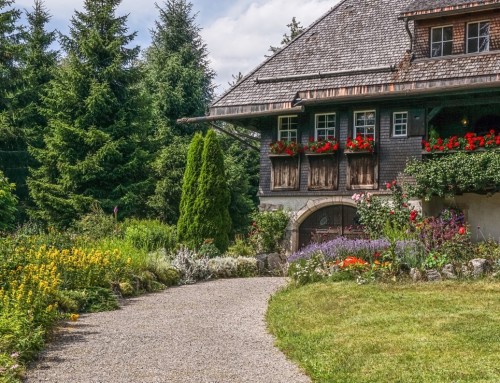 Der nächste Familienurlaub im Schwarzwald