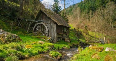 Fastenwandern im Schwarzwald