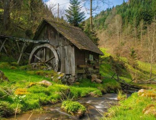 Die schönsten Routen zum Fastenwandern im Schwarzwald