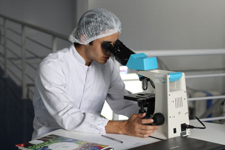 Forschung an Naturkosmetik bei Börlind Forschung an Naturkosmetik bei Börlind