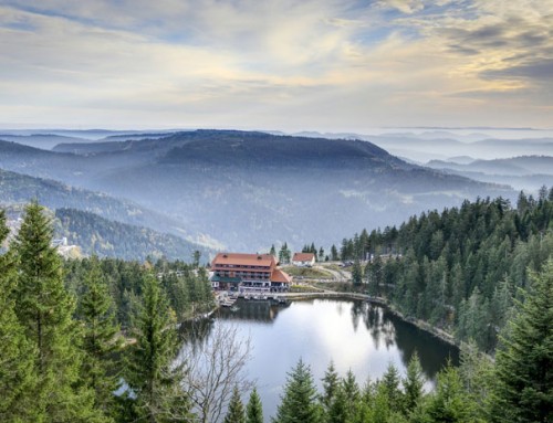 Der professionelle Hotelmakler – im Schwarzwald zu Hause, in Deutschland erfolgreich