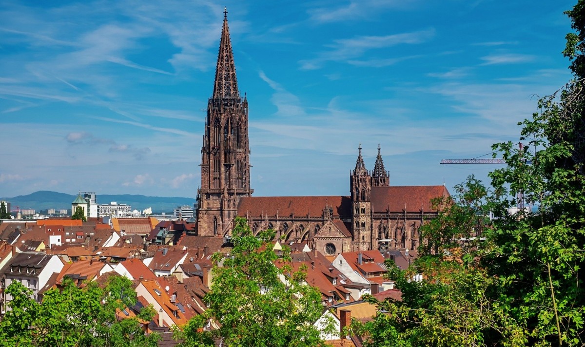 Immobilienmakler aus Freiburg
