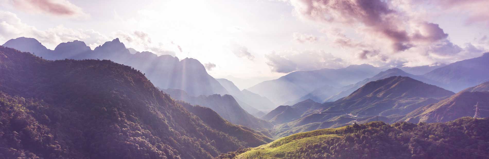 Schwarzwald Guide