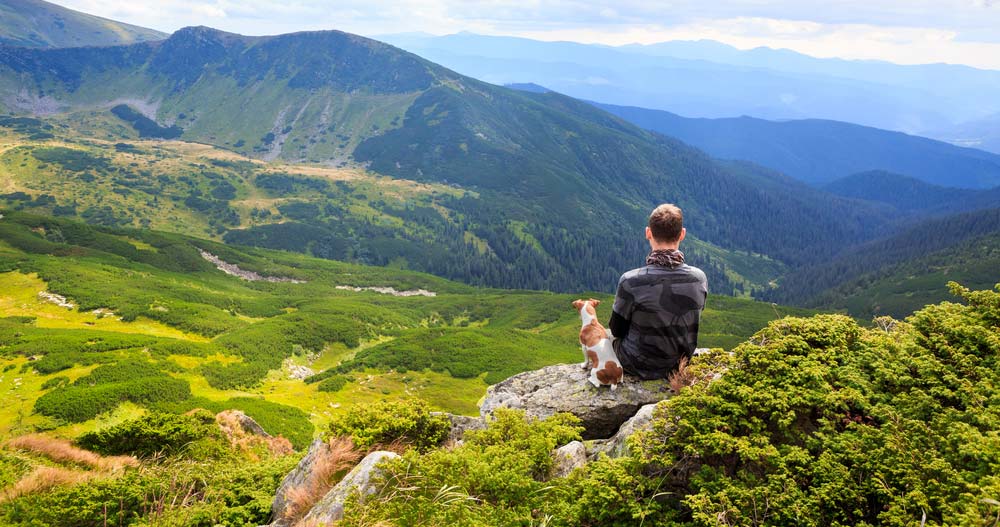 Urlaub im Schwarzwald mit Hund
