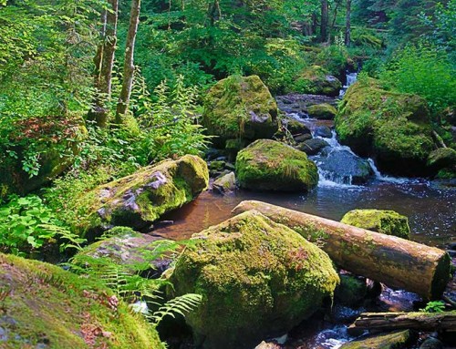 Wutachschlucht