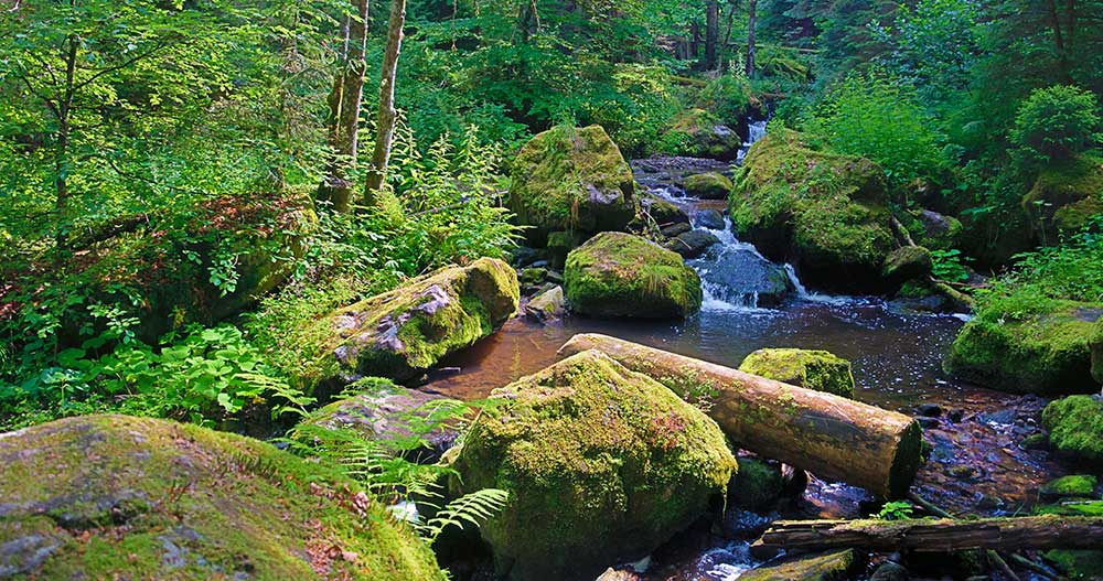 Wutachschlucht